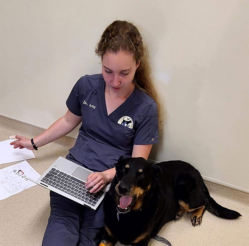 Photo for Caring for your pet isn't just our profession. It is our purpose in life. Call us now, and we'll make a difference