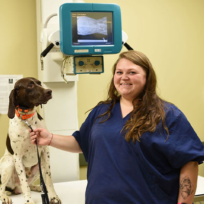 Marnieta, LVT, site leader at Marcy Veterinary Clinic