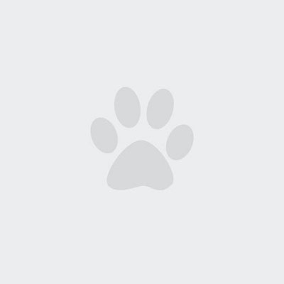 Photo placeholder