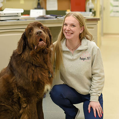 Paige, LVT at Marcy Veterinary Clinic