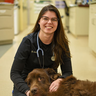 Dr. Sara, veterinarian at Marcy Veterinary Clinic