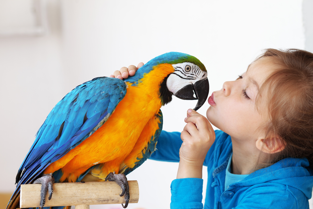 Photo for DON’T forget to consider the pet’s longevity