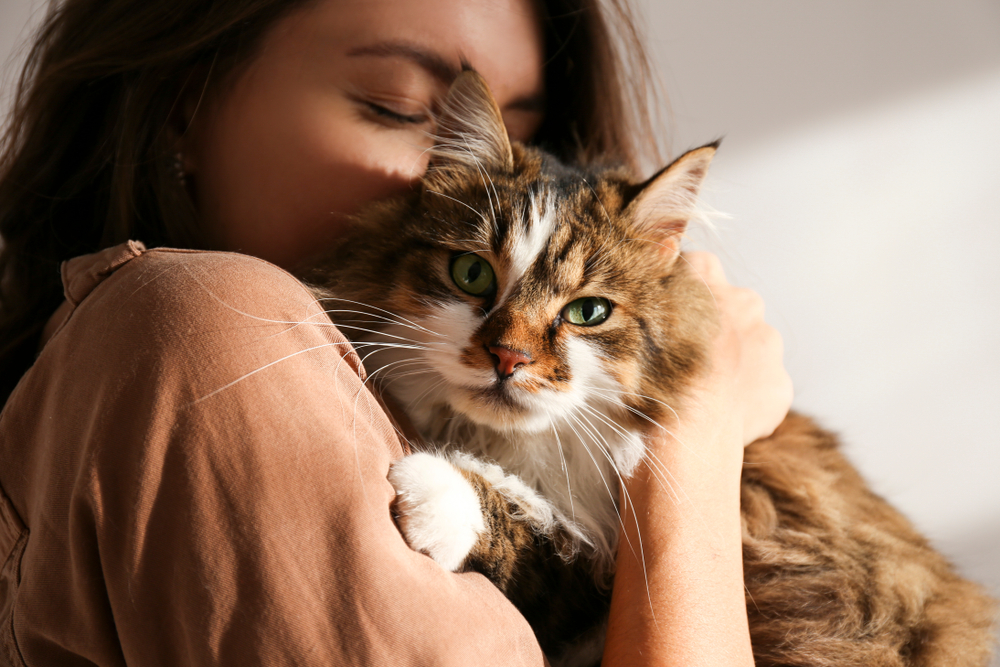 Photo for Protecting Your Pet from Winter Weather Threats