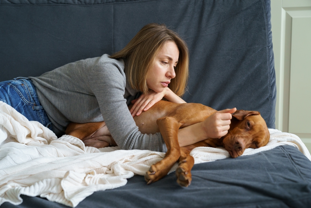 Photo for Do’s and Don’ts to Choose the Right Pet for Your Family