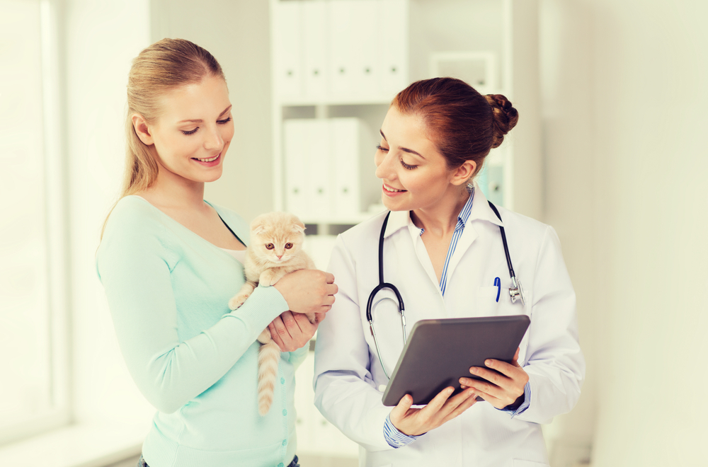 Photo for How is a veterinarian-client-patient relationship maintained?