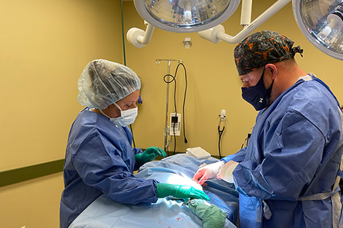 Photo for Surgeries We Offer
