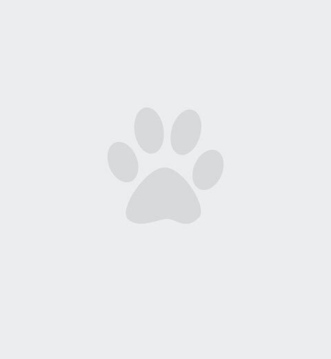 Photo placeholder